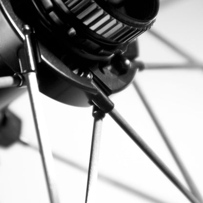 Carbon SPORT 60 Disc Brake