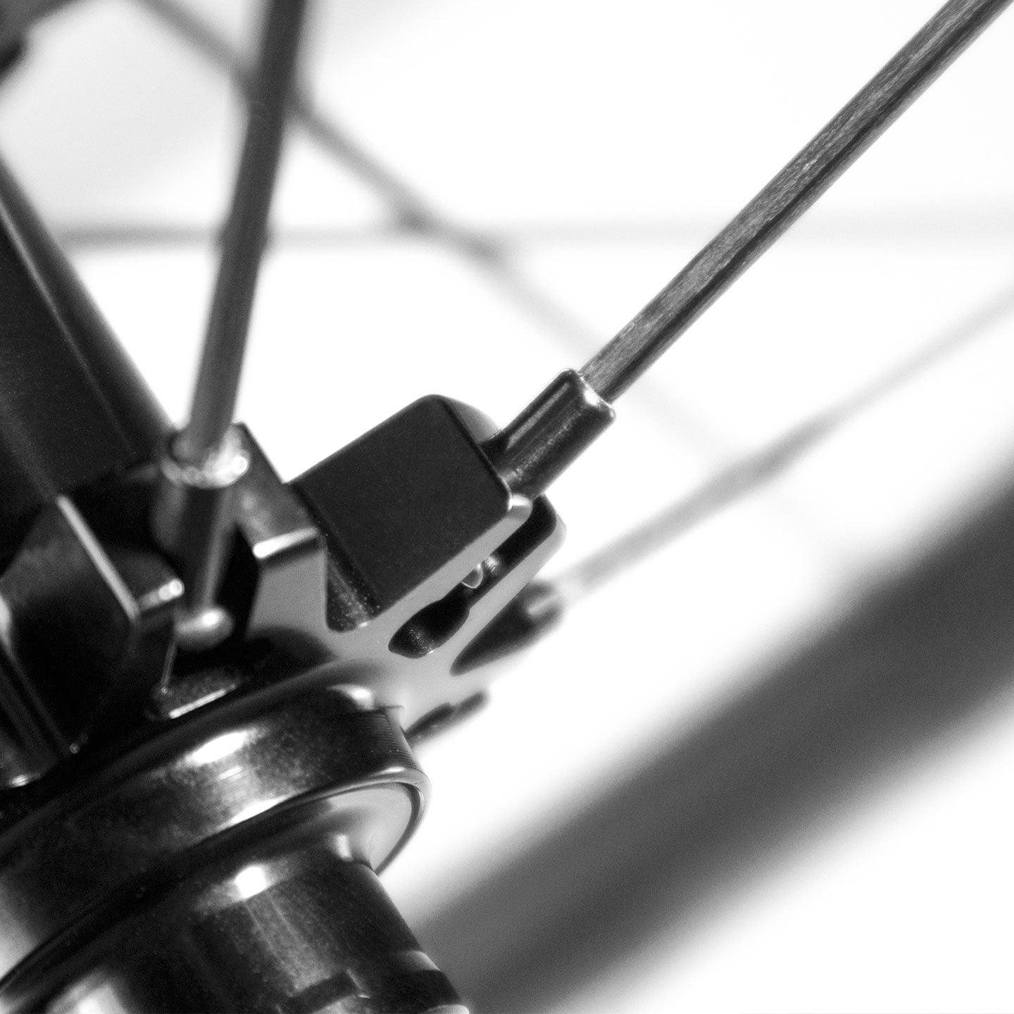 Carbon SPORT 60 Disc Brake